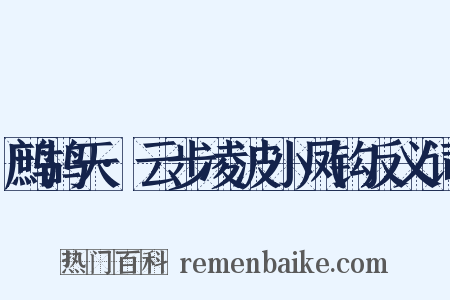 鹧鸪天·云步凌波小凤钩反义词是什么意思的图片